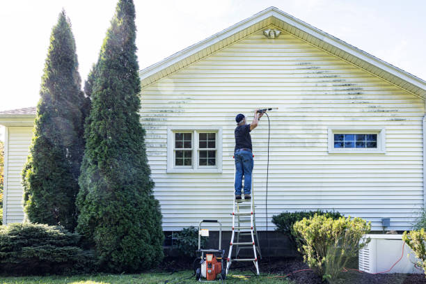 Best Solar Panel Cleaning  in Litchfield, IL