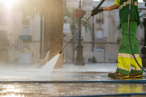 Boat and Dock Cleaning in Litchfield, IL